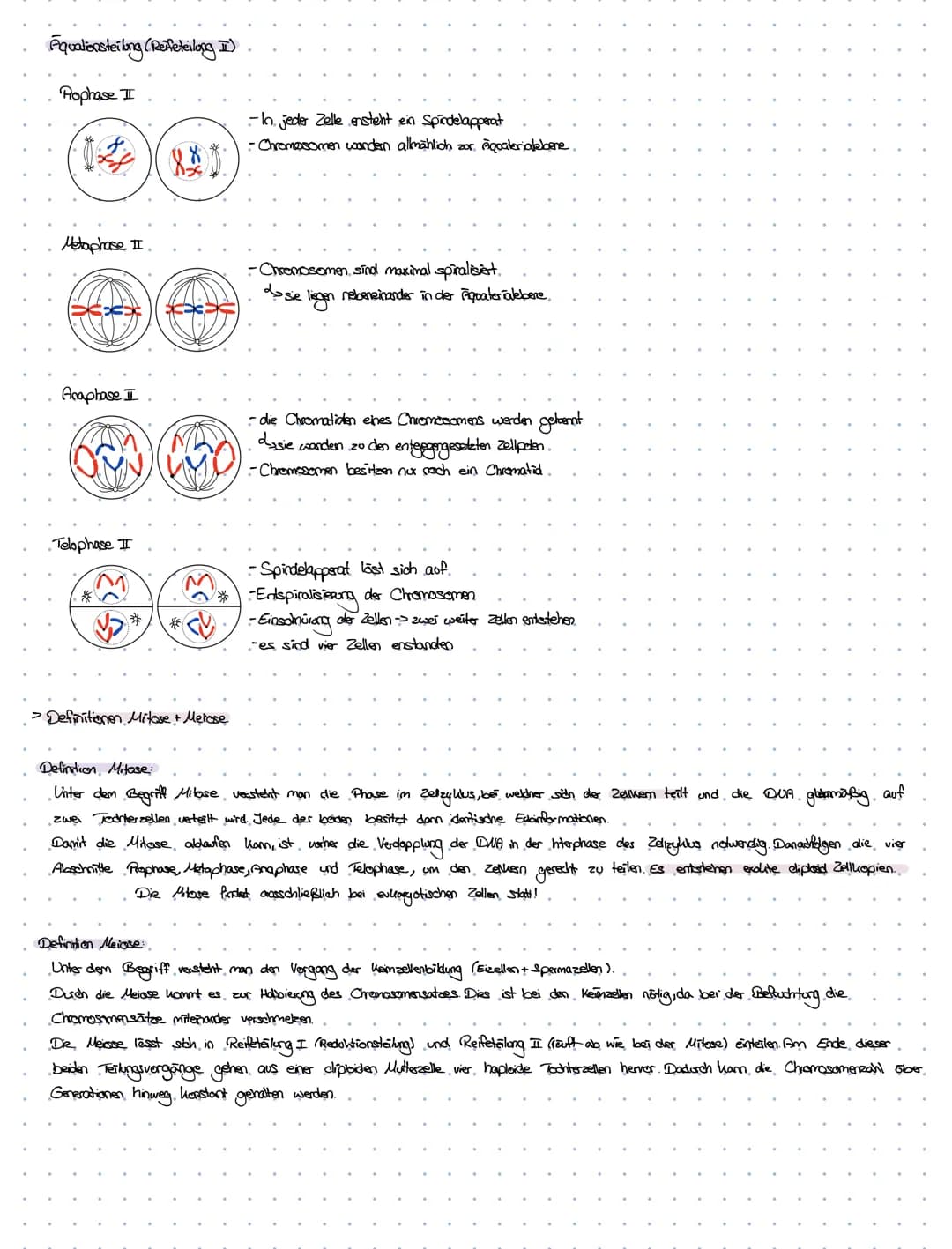 -Definition von
Fachbegriffen.
dexnzettehrbiologia
. Chromosomen > Chrzana - Faden; Soma-> Körper
handoge. Chromosomen > partnerchionoson de