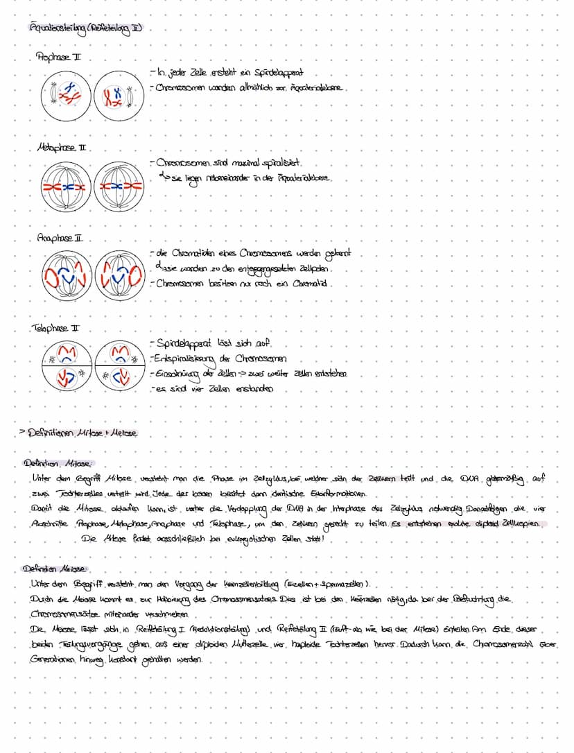 -Definition von
Fachbegriffen.
dexnzettehrbiologia
. Chromosomen > Chrzana - Faden; Soma-> Körper
handoge. Chromosomen > partnerchionoson de