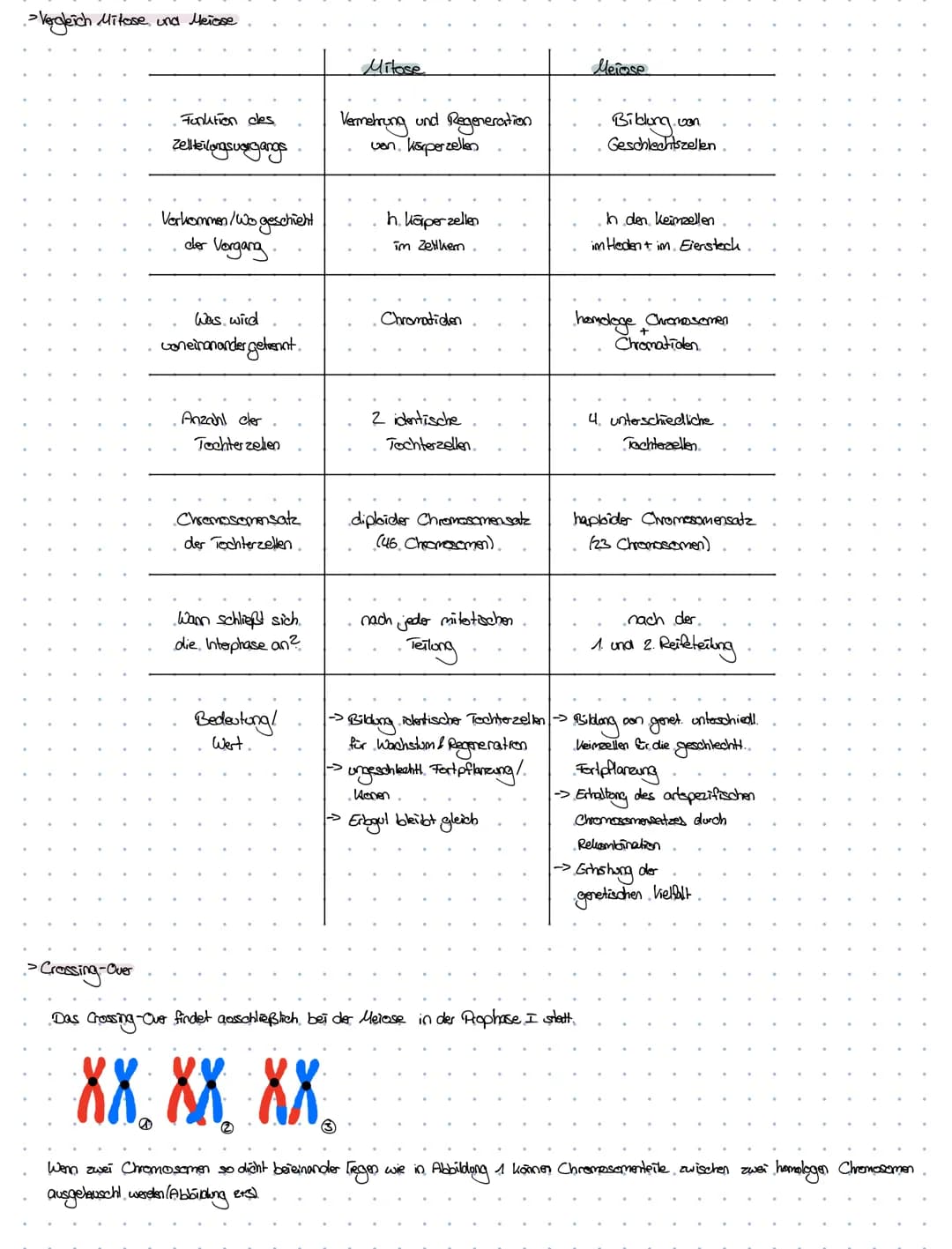 -Definition von
Fachbegriffen.
dexnzettehrbiologia
. Chromosomen > Chrzana - Faden; Soma-> Körper
handoge. Chromosomen > partnerchionoson de