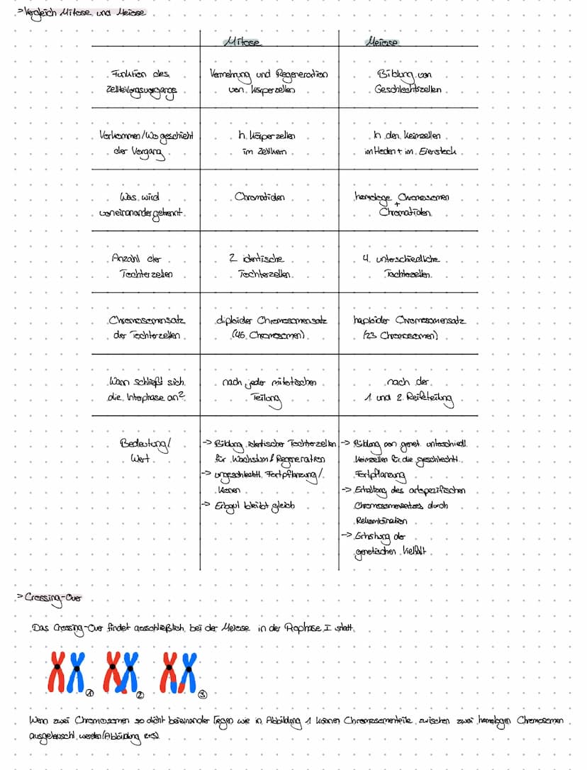 -Definition von
Fachbegriffen.
dexnzettehrbiologia
. Chromosomen > Chrzana - Faden; Soma-> Körper
handoge. Chromosomen > partnerchionoson de