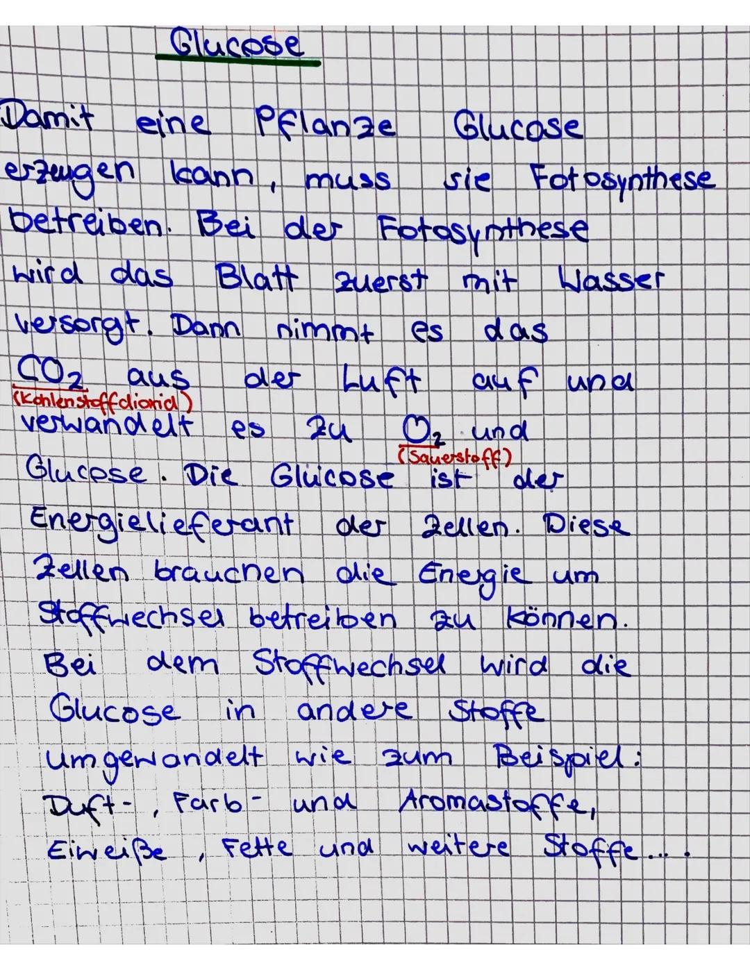 Weg des Wassers
1.) Zu
erst wird das Wasser von
Wurzeln
dem Boden.
den
gezogen.
Von dort aus wird es in
Sprossachse weitergeleitet.
ff
Tulpe