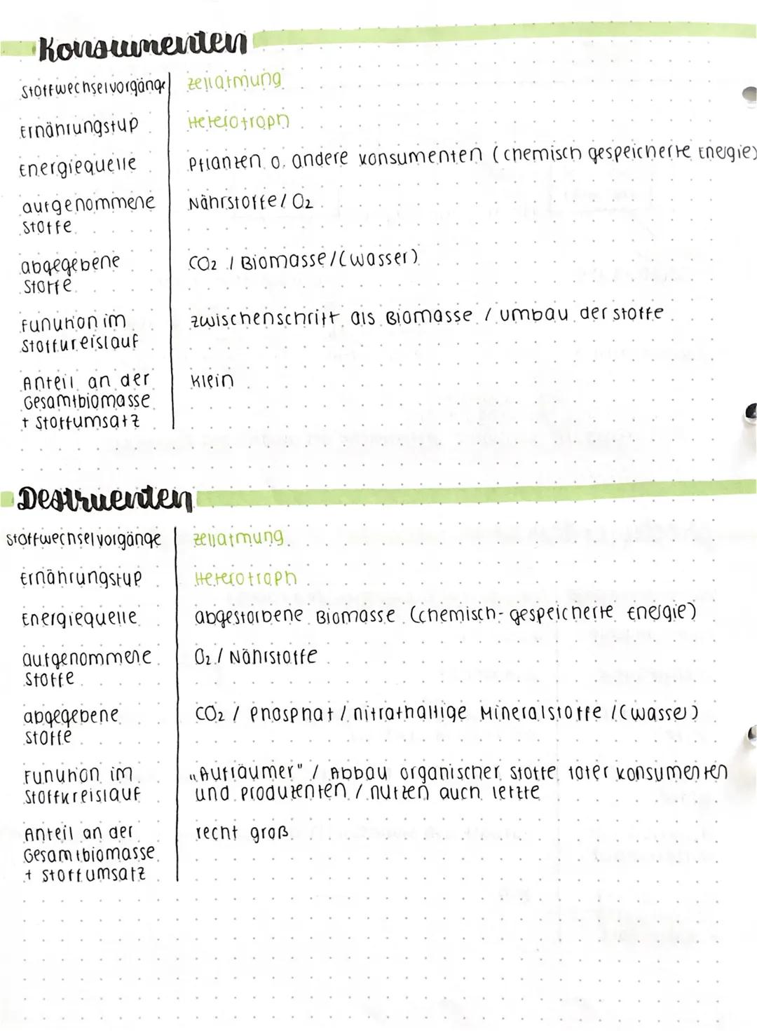 Okosystem

abiotische
Fautoren

Bigtop
= Lebensraum

biotische
faktoren

Struktur/ Aufbau

Biozonose
Lebensgemeinschaft

Produzenten konsume