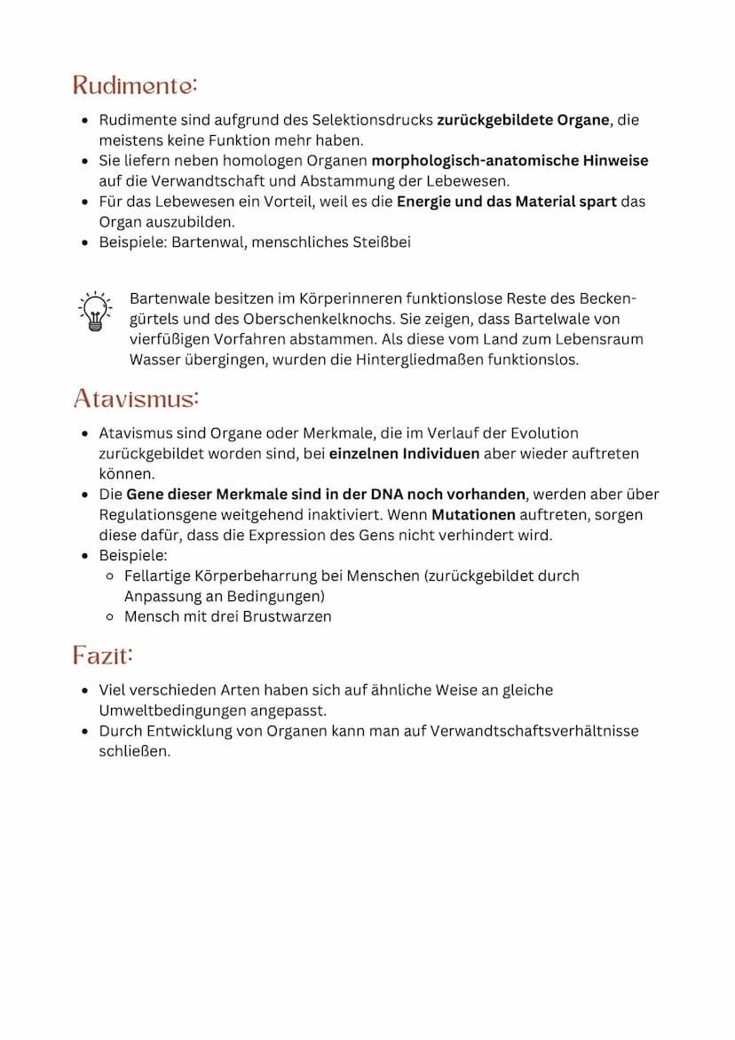 Homologie:
• Homologie ist die Ähnlichkeit von Merkmalen aufgrund gemeinsamer
Abstammung.
●
BEWEISE FÜR
EVOLUTION
Nachweise aus der vergleic