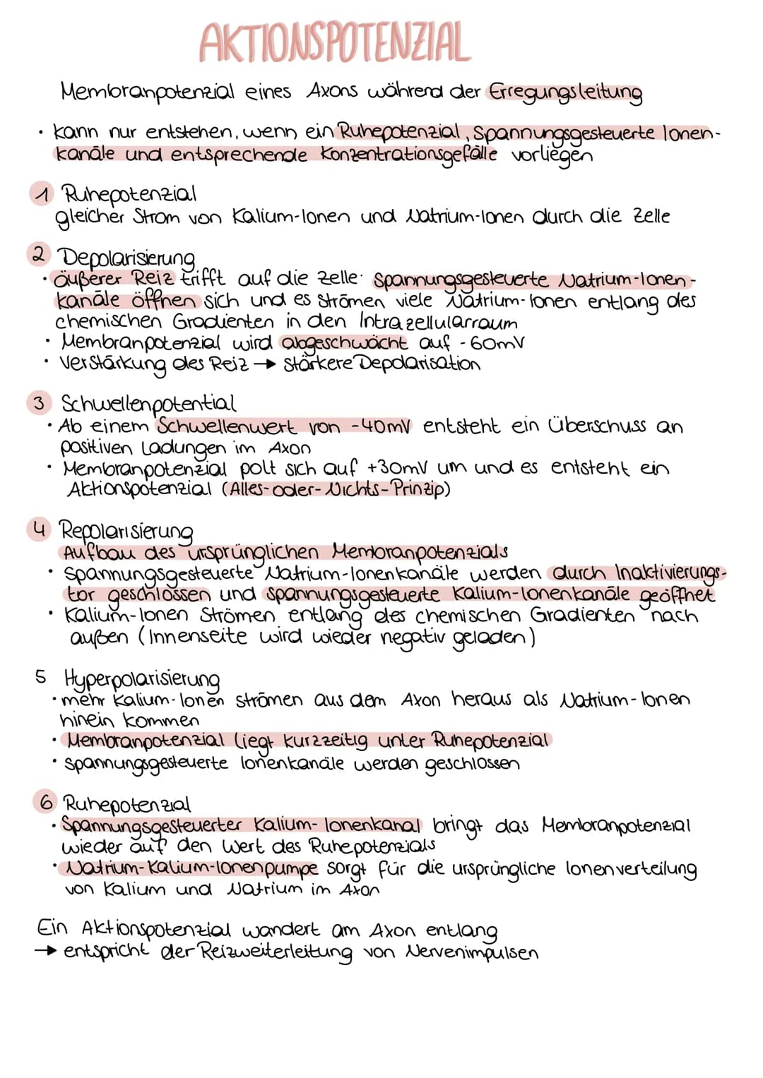 Aufbau einer Nervenzelle
Dendrit
neurobiologie
Zellkörper
Axonhügel Axon
Mitochondrium
Funktionen
Dendrit
Zellkörper (Soma)
Zellkern
Axonhüg