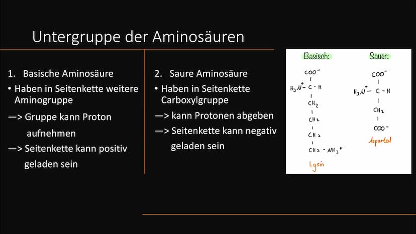 Aminosäuren
Grundlegender struktureller Aufbau Gliederung
Vorkommen
Was sind Aminosäuren
Aufteilung
Nomenklatur
Zwitterion
Peptidbildung
Unt