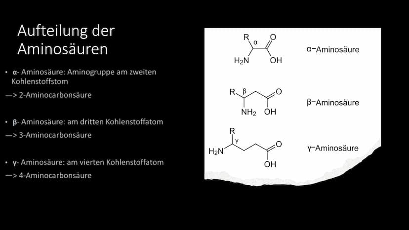 Aminosäuren
Grundlegender struktureller Aufbau Gliederung
Vorkommen
Was sind Aminosäuren
Aufteilung
Nomenklatur
Zwitterion
Peptidbildung
Unt