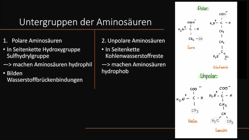 Aminosäuren
Grundlegender struktureller Aufbau Gliederung
Vorkommen
Was sind Aminosäuren
Aufteilung
Nomenklatur
Zwitterion
Peptidbildung
Unt