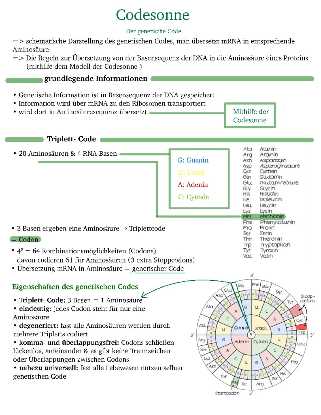 Codesonne (GEN)