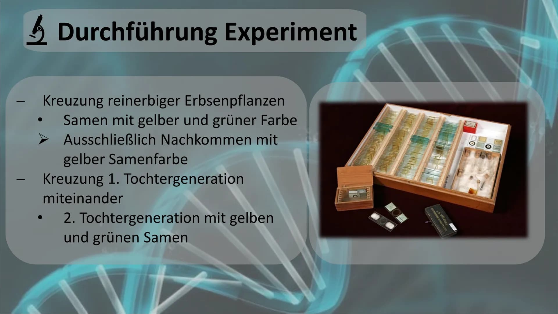 Gregor Mendel
Mendelsche Gesetze Gliederung
Biographie und Lebenslauf
Fachbegriffserklärung
Gründe
! Voraussetzung und Vorgehensweise
Durchf