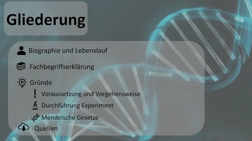 Gregor Mendel
Mendelsche Gesetze Gliederung
Biographie und Lebenslauf
Fachbegriffserklärung
Gründe
! Voraussetzung und Vorgehensweise
Durchf