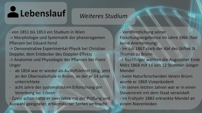 Gregor Mendel
Mendelsche Gesetze Gliederung
Biographie und Lebenslauf
Fachbegriffserklärung
Gründe
! Voraussetzung und Vorgehensweise
Durchf