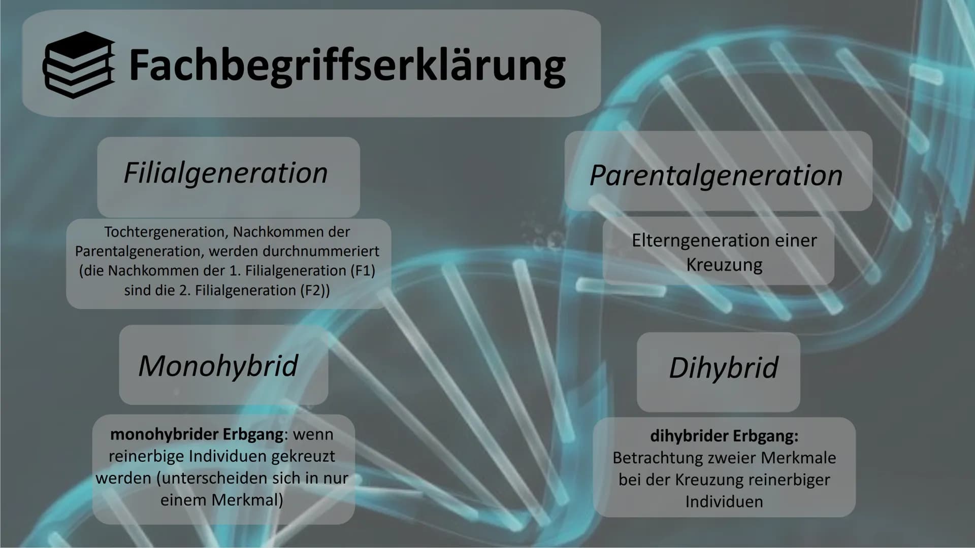 Gregor Mendel
Mendelsche Gesetze Gliederung
Biographie und Lebenslauf
Fachbegriffserklärung
Gründe
! Voraussetzung und Vorgehensweise
Durchf