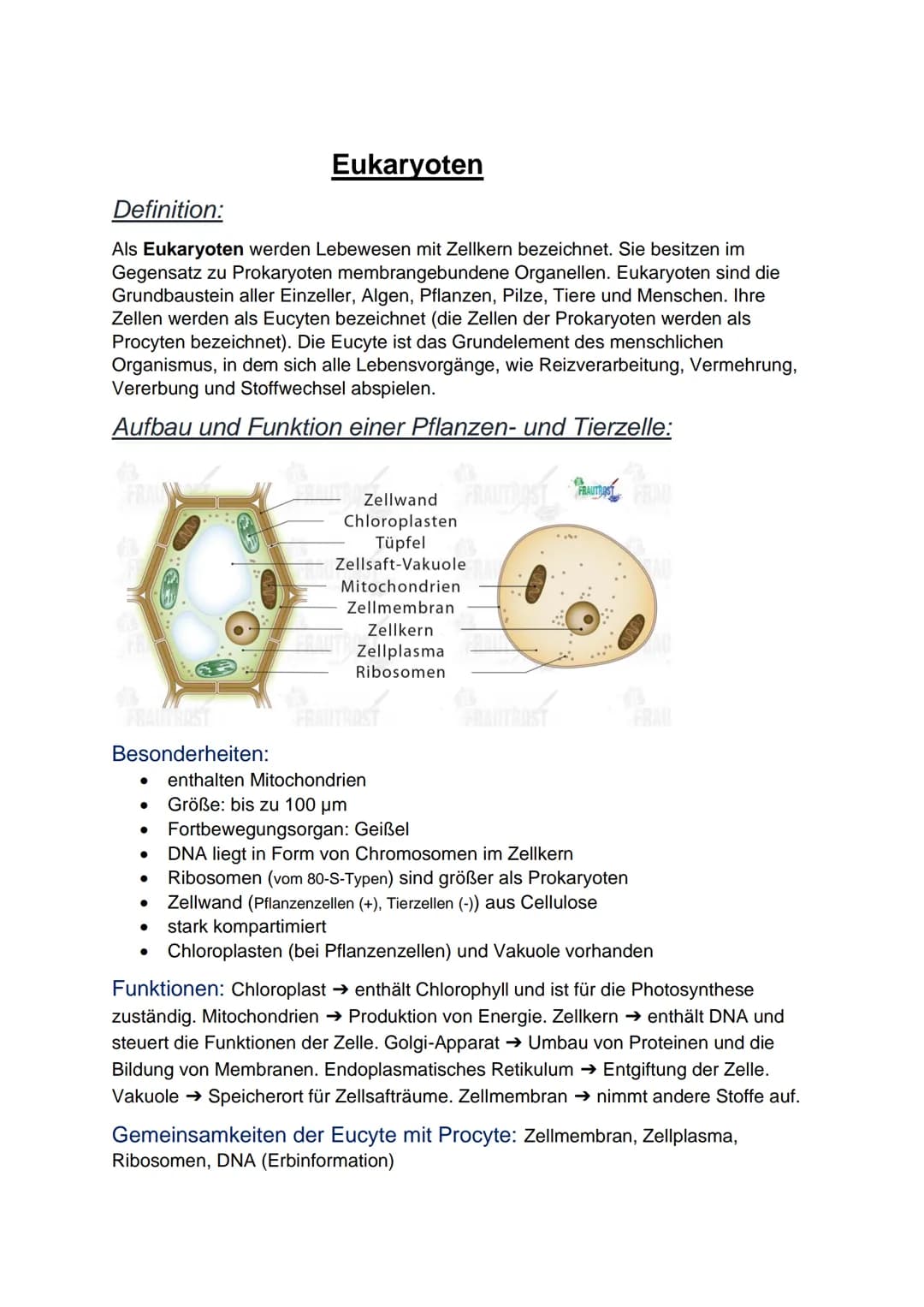 
<p>Prokaryoten sind einfache, einzellige Mikroorganismen ohne einen Zellkern. Sie werden in zwei Domänen eingeteilt: Bakterien und Archaeen