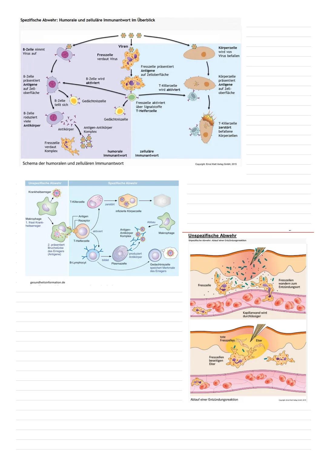 # Krankheitsereger & Infektionswege
9. März 2022

Bakterien
*   einzellige Hikroorganismen ohne Zellikern, können durch Antibiotika bekämpft