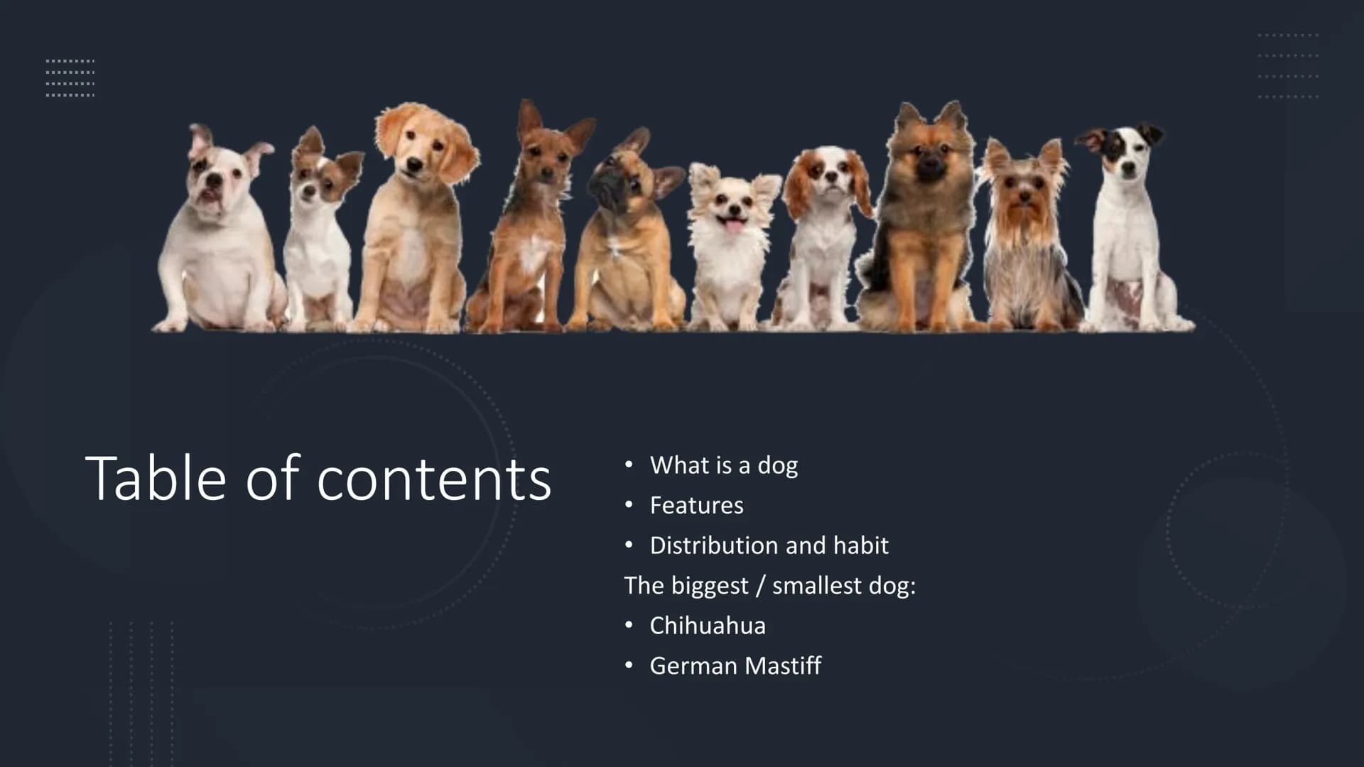 From Nico Schmidt
The Dog Rudolf-Virchow-Oberschule
English 10/23
Nico Alexej Schmidt
Structure:
1. What is a dog
2. Features
3. Distributio