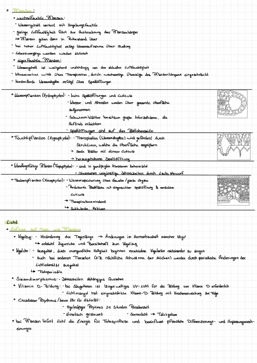 GLOSSAR
Begriffe
Ökosystem
Polihilotherm
homokilotherm
Epidermis
Coticula
osmatischer Druck
ökologische Nische
Umwelt- Kapazität (K)
Biomass