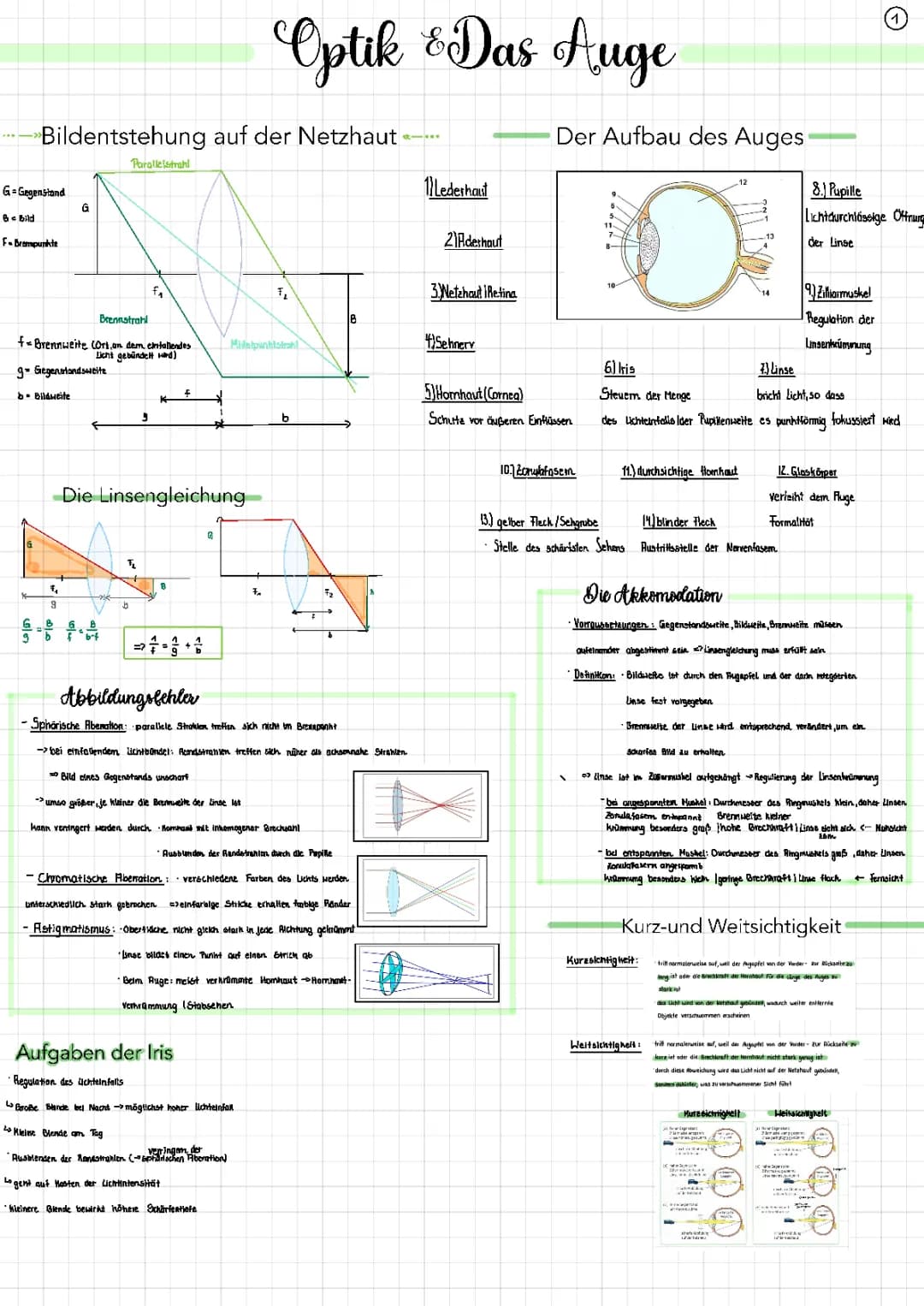 Optik und das Auge