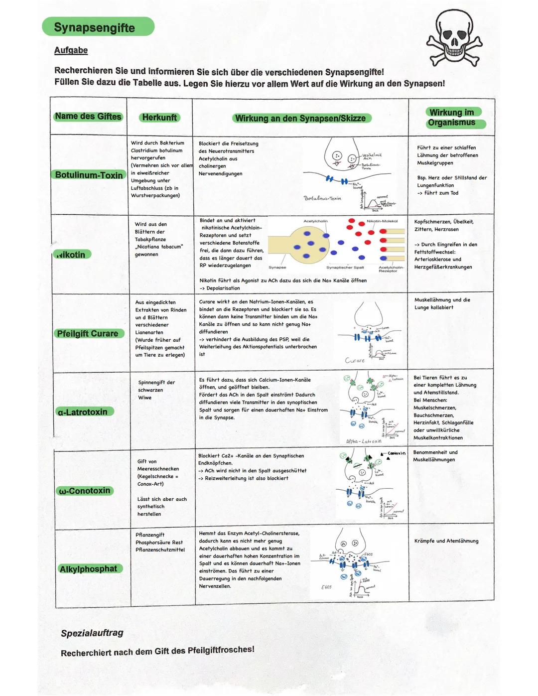 # Neurobiologie

Aufbau einer Nervenzelle (Neuron)

1
2
3
4
5

8
9
10
11

1. Dendrit.

2. Soma/Zellkörper

3.Zellkern.

4. Axonhügel

5. Axo