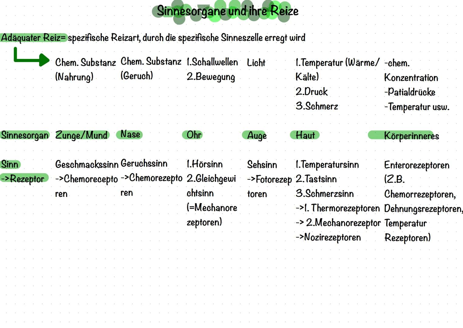 # Neurobiologie

Aufbau einer Nervenzelle (Neuron)

1
2
3
4
5

8
9
10
11

1. Dendrit.

2. Soma/Zellkörper

3.Zellkern.

4. Axonhügel

5. Axo