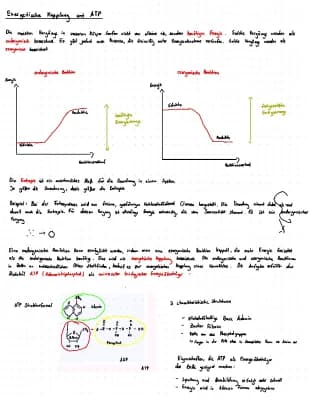 Know Energetische Kopplung und ATP thumbnail