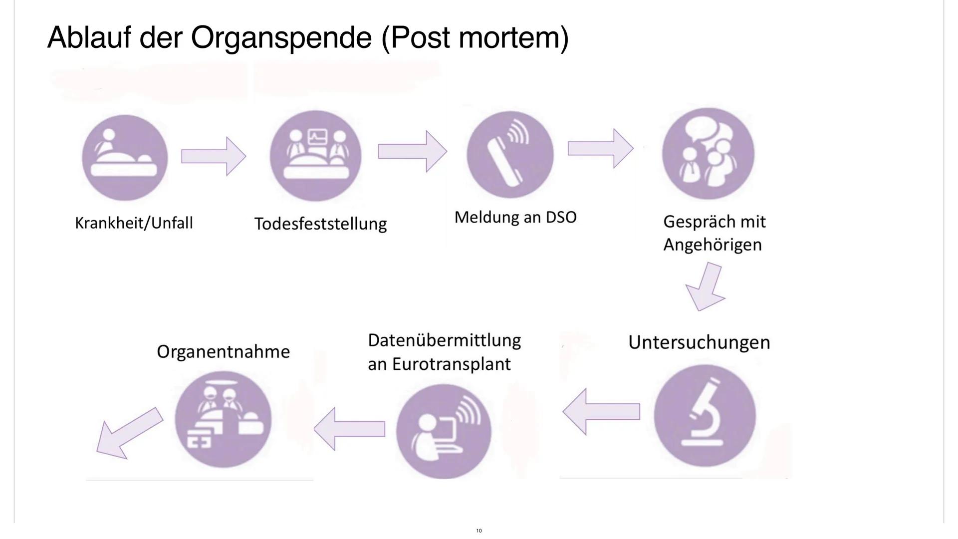 HAIR
GENCY
TRANSPLANTATION
For
TRANSPORTATION
OF ORGANS
o
LIVER
VON ALA, LUISA, JACQUELINEL
TRANSPLANTATION
ORGANSPENDE
EYE
HUMAN
ORGAN
KIDN