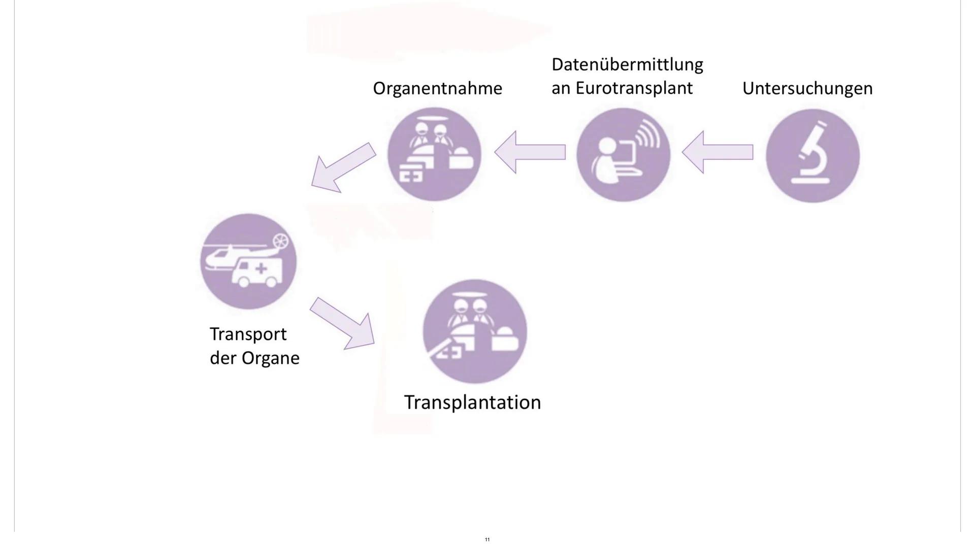 HAIR
GENCY
TRANSPLANTATION
For
TRANSPORTATION
OF ORGANS
o
LIVER
VON ALA, LUISA, JACQUELINEL
TRANSPLANTATION
ORGANSPENDE
EYE
HUMAN
ORGAN
KIDN