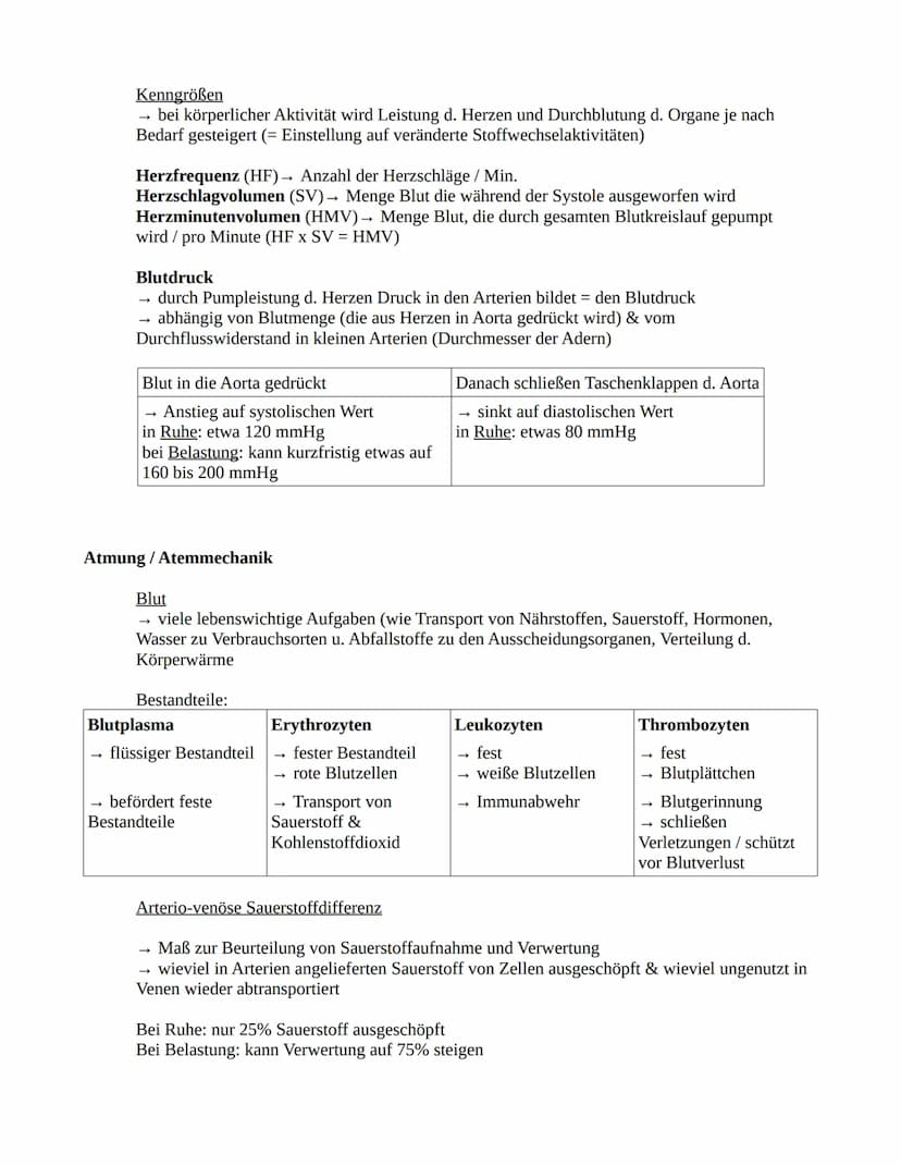 Herz-Kreislaufsystem
Aufbau des Herzens
obere
Hohlvene
rechter Vorhof
Taschenklappe
(Pulmonalklappe)-
Segelklappe
(Trikuspidalklappe)
untere