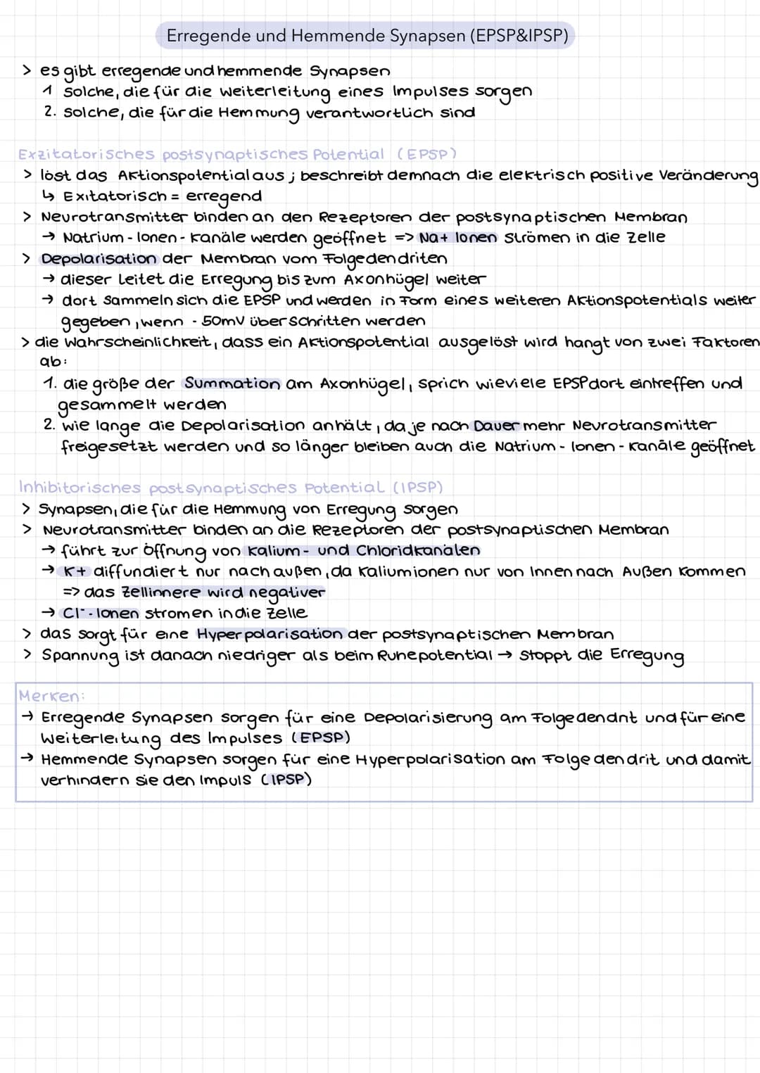Erregende und Hemmende Synapsen (EPSP&IPSP)
> es gibt erregende und hemmende Synapsen
1 solche, die für die weiterleitung eines Impulses sor