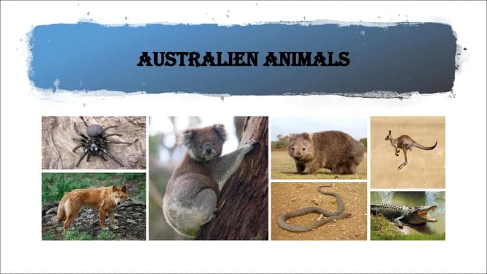 Know Australien animals  thumbnail