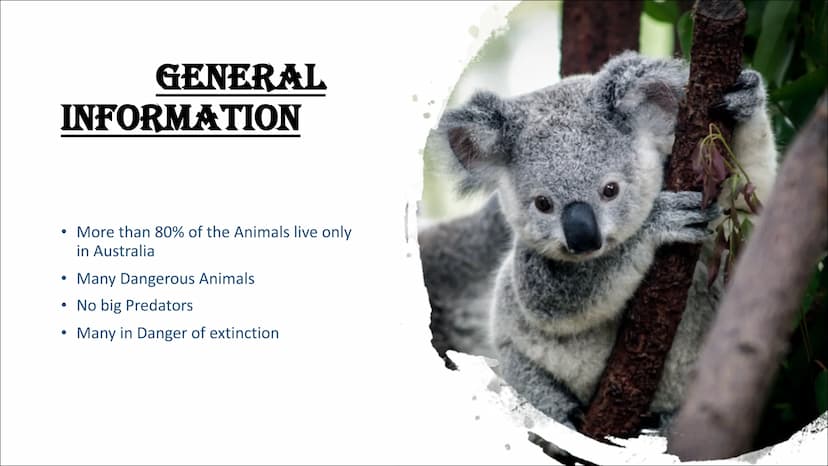 AUSTRALIEN ANIMALS TYPICAL ANIMALS
Kangaroo
Koala
●
• Wombat
• Dingo
CONTENTS CONTENTS
DANGEROUS ANIMALS
• Taipan
Saltwater crocodile
Funnel