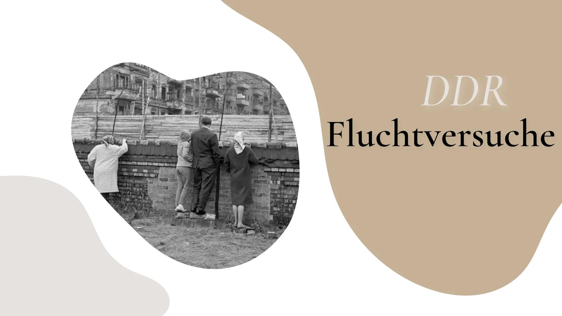 DDR
Fluchtversuche # Inhalt

04 Bekannte Fluchtbeispiele

05 Folgen der Flucht

ΟΙ Allgemeines

06 Mauermuseum

Informationen
02 zur Flucht

