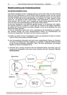 Know Modellvorstellung der Proteinbiosynthese🧬 thumbnail