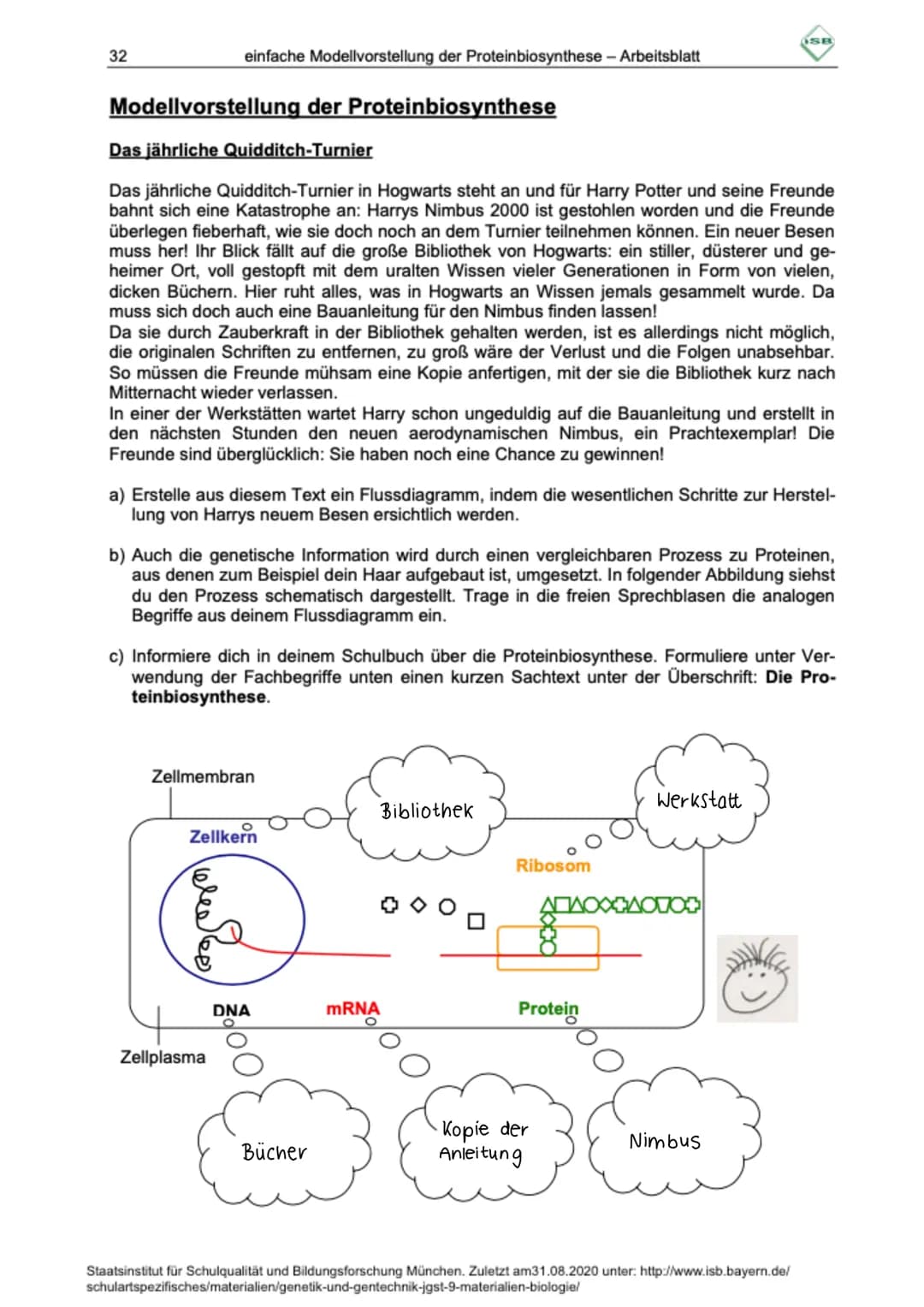 32
einfache Modellvorstellung der Proteinbiosynthese - Arbeitsblatt
Modellvorstellung der Proteinbiosynthese
Das jährliche Quidditch-Turnier