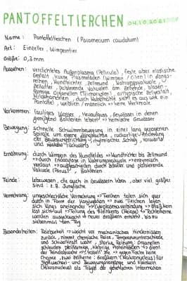 Know Steckbrief Pantoffeltierchen  thumbnail