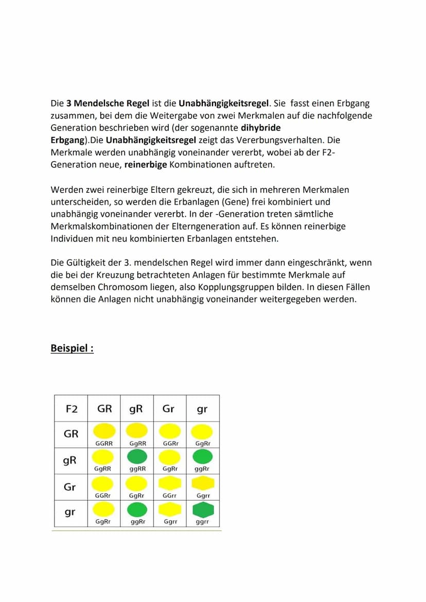 3 Mendelschen Regeln der Vererbung
Die 3 Mendelschen Regeln stammen, wie der Name uns bereits zum Teil verrät
von Gregor Mendel. Er ist am 2