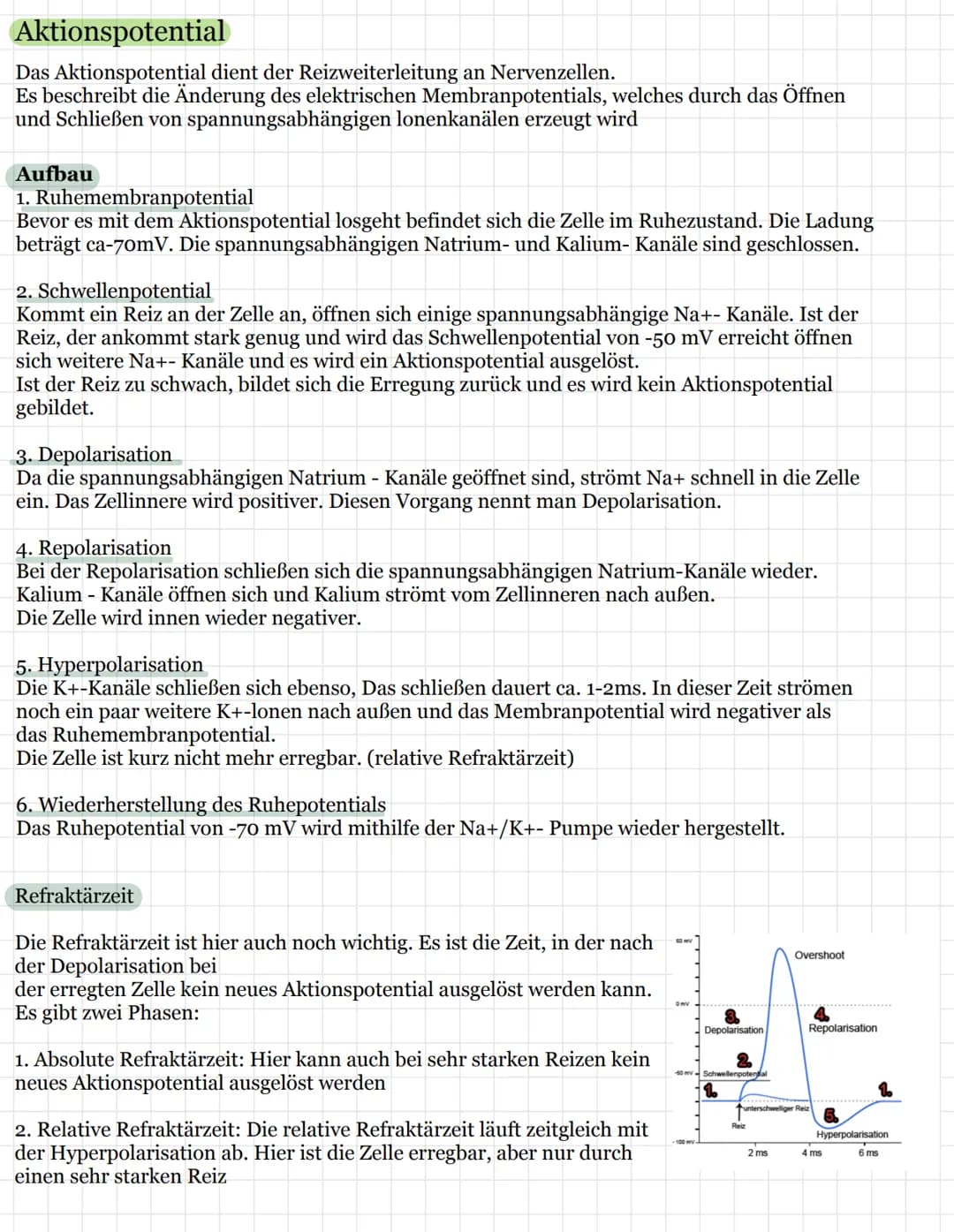 Neurobiologie
Aufbau einer Nervenzelle ( Neuron)
Nervenzellen (Neurone) sind
die Invormationsverarbeitenden
Element bei Tier und Mensch
Sie 