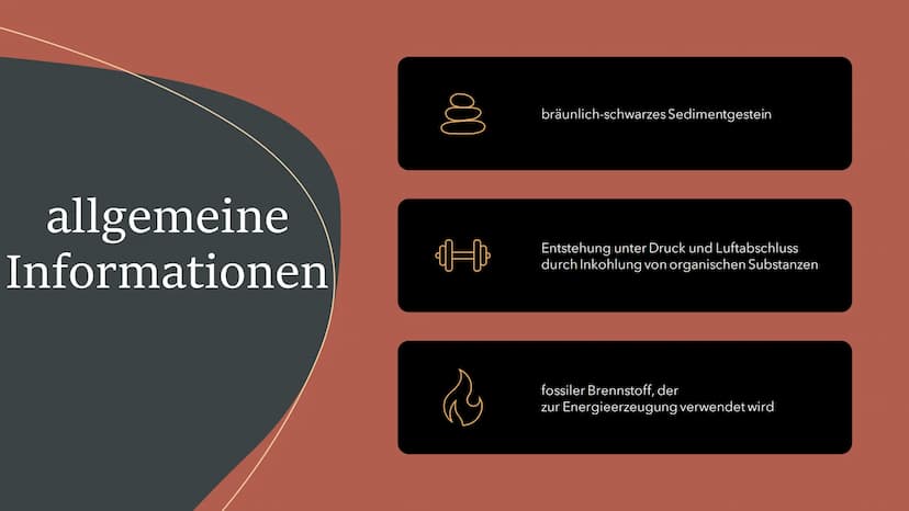 allgemeine Informationen
• bräunlich-schwarzes Sedimentgestein
• Entstehung unter Druck und Luftabschluss durch Inkohlung von organischen Su