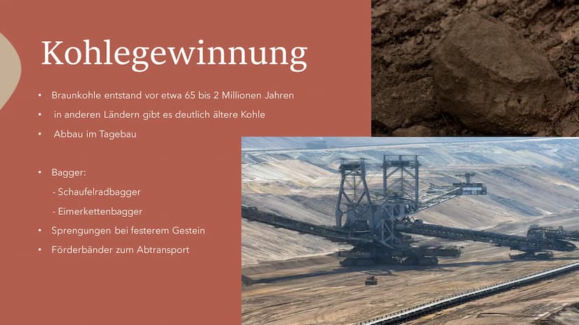 allgemeine Informationen
• bräunlich-schwarzes Sedimentgestein
• Entstehung unter Druck und Luftabschluss durch Inkohlung von organischen Su