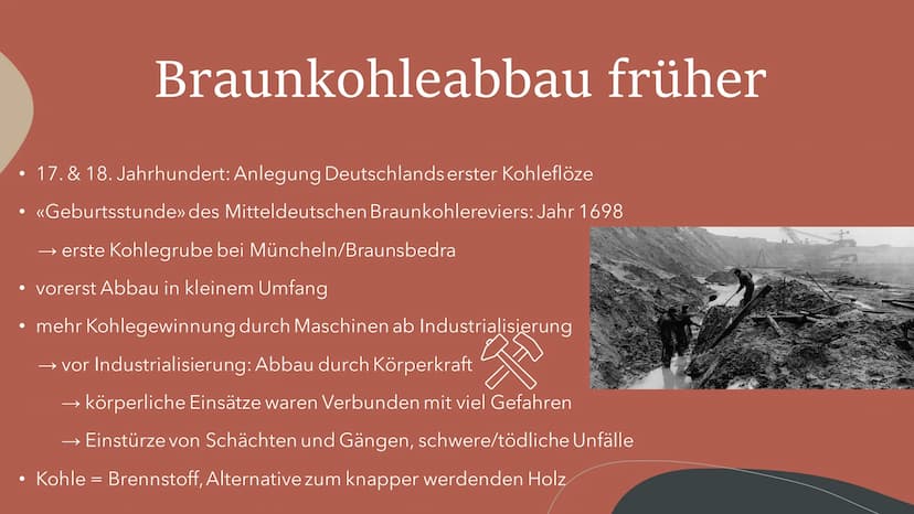 allgemeine Informationen
• bräunlich-schwarzes Sedimentgestein
• Entstehung unter Druck und Luftabschluss durch Inkohlung von organischen Su