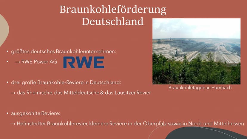 allgemeine Informationen
• bräunlich-schwarzes Sedimentgestein
• Entstehung unter Druck und Luftabschluss durch Inkohlung von organischen Su
