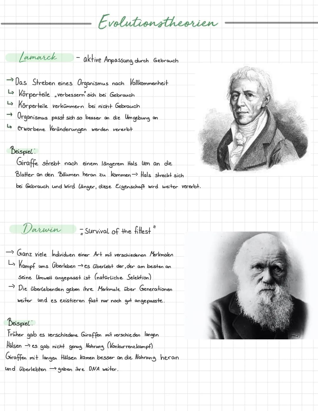 # Evolutionstheorien

Lamarck - aktive Anpassung durch Gebrauch

- Das Streben eines Organismus nach Vollkommenheit
- Körperteile verbessern