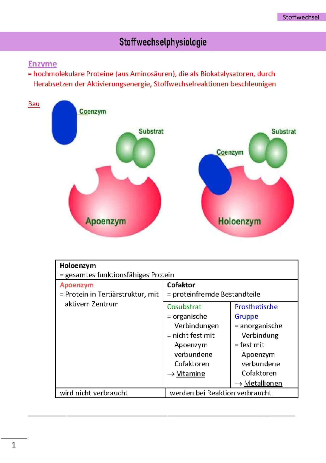 Stoffwechselphysiologie