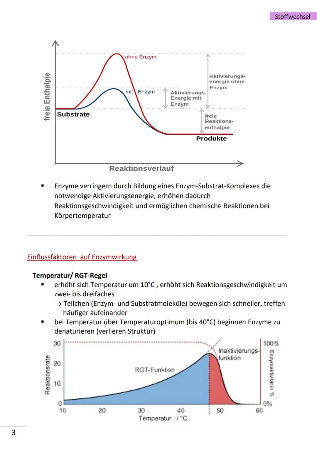 1
Enzyme
= hochmolekulare Proteine (aus Aminosäuren), die als Biokatalysatoren, durch
Herabsetzen der Aktivierungsenergie, Stoffwechselreakt
