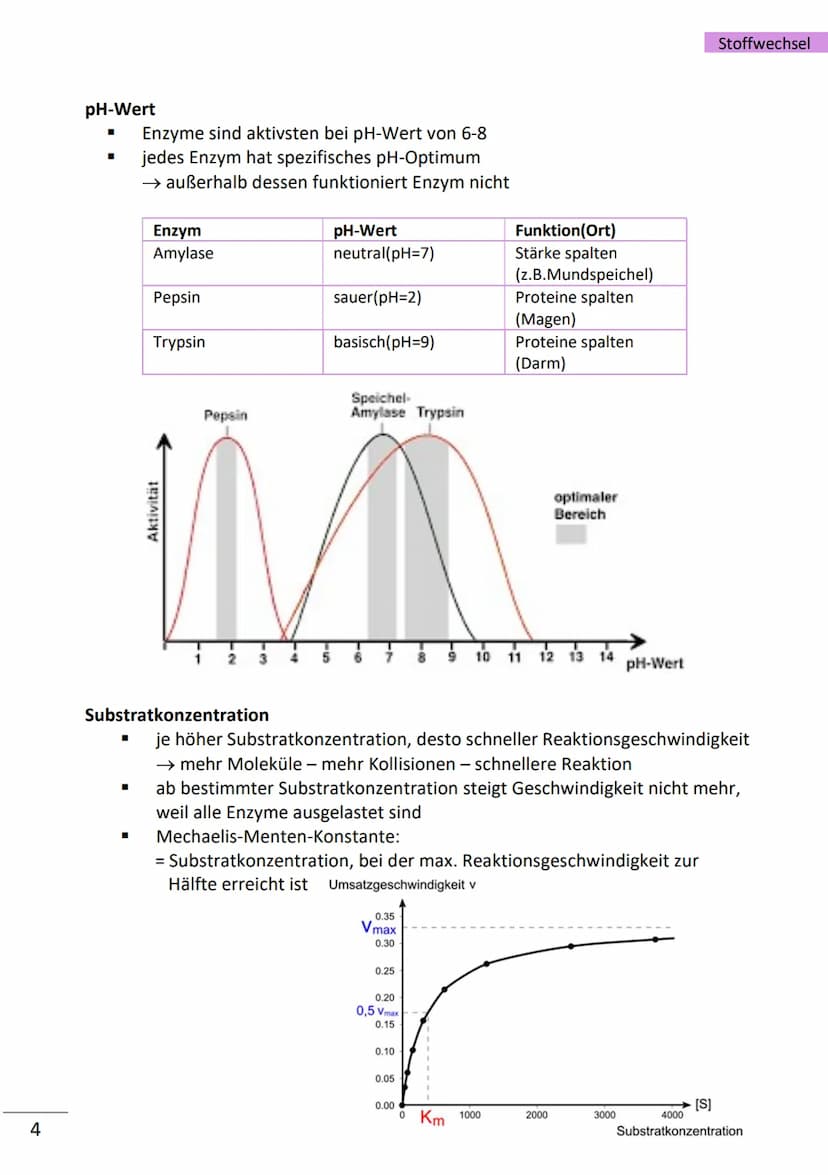 1
Enzyme
= hochmolekulare Proteine (aus Aminosäuren), die als Biokatalysatoren, durch
Herabsetzen der Aktivierungsenergie, Stoffwechselreakt
