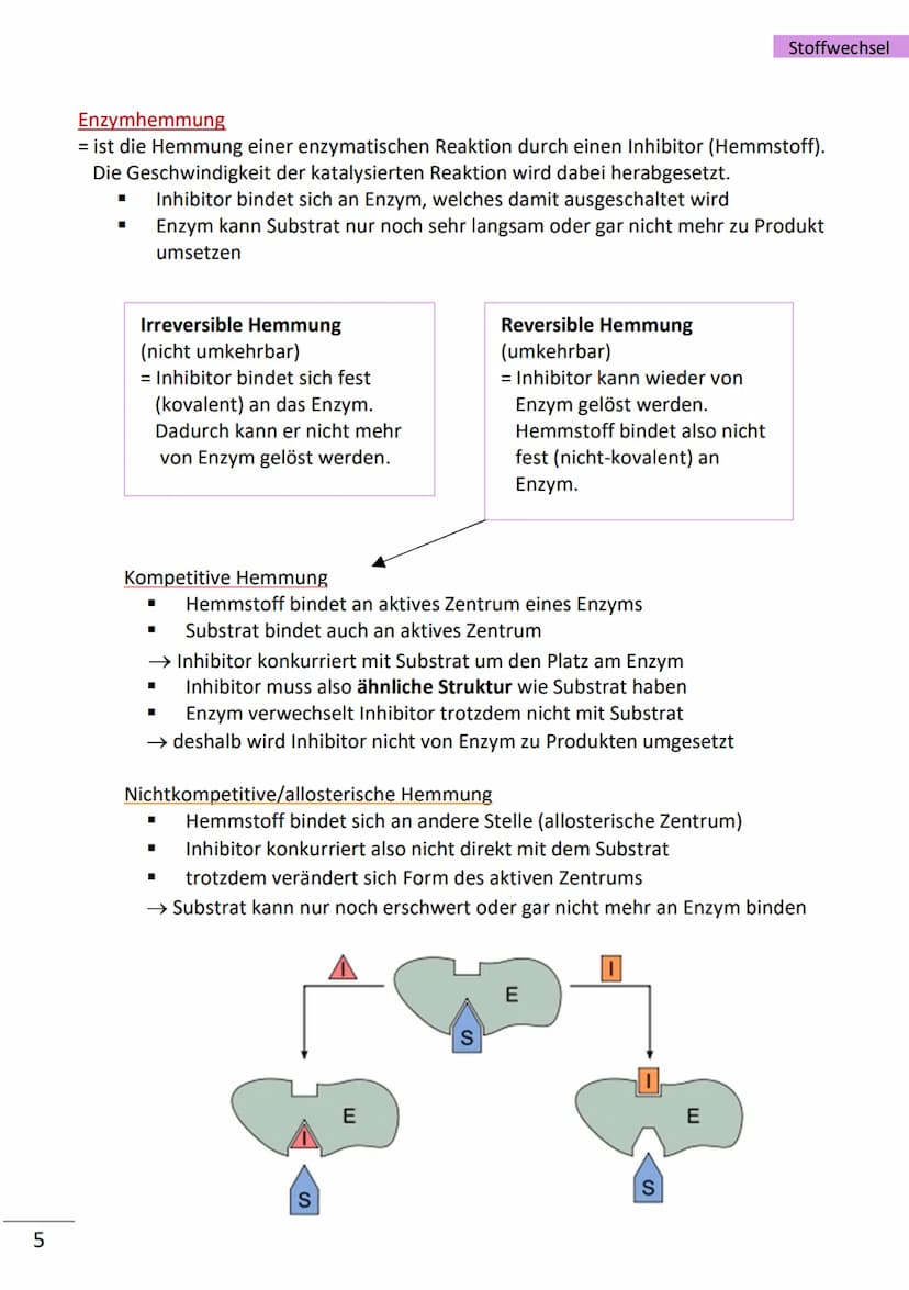 1
Enzyme
= hochmolekulare Proteine (aus Aminosäuren), die als Biokatalysatoren, durch
Herabsetzen der Aktivierungsenergie, Stoffwechselreakt