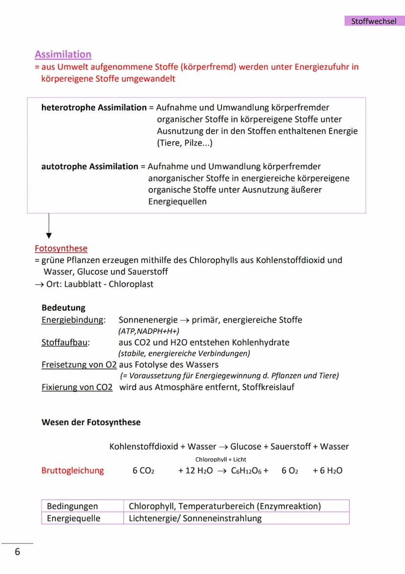 1
Enzyme
= hochmolekulare Proteine (aus Aminosäuren), die als Biokatalysatoren, durch
Herabsetzen der Aktivierungsenergie, Stoffwechselreakt