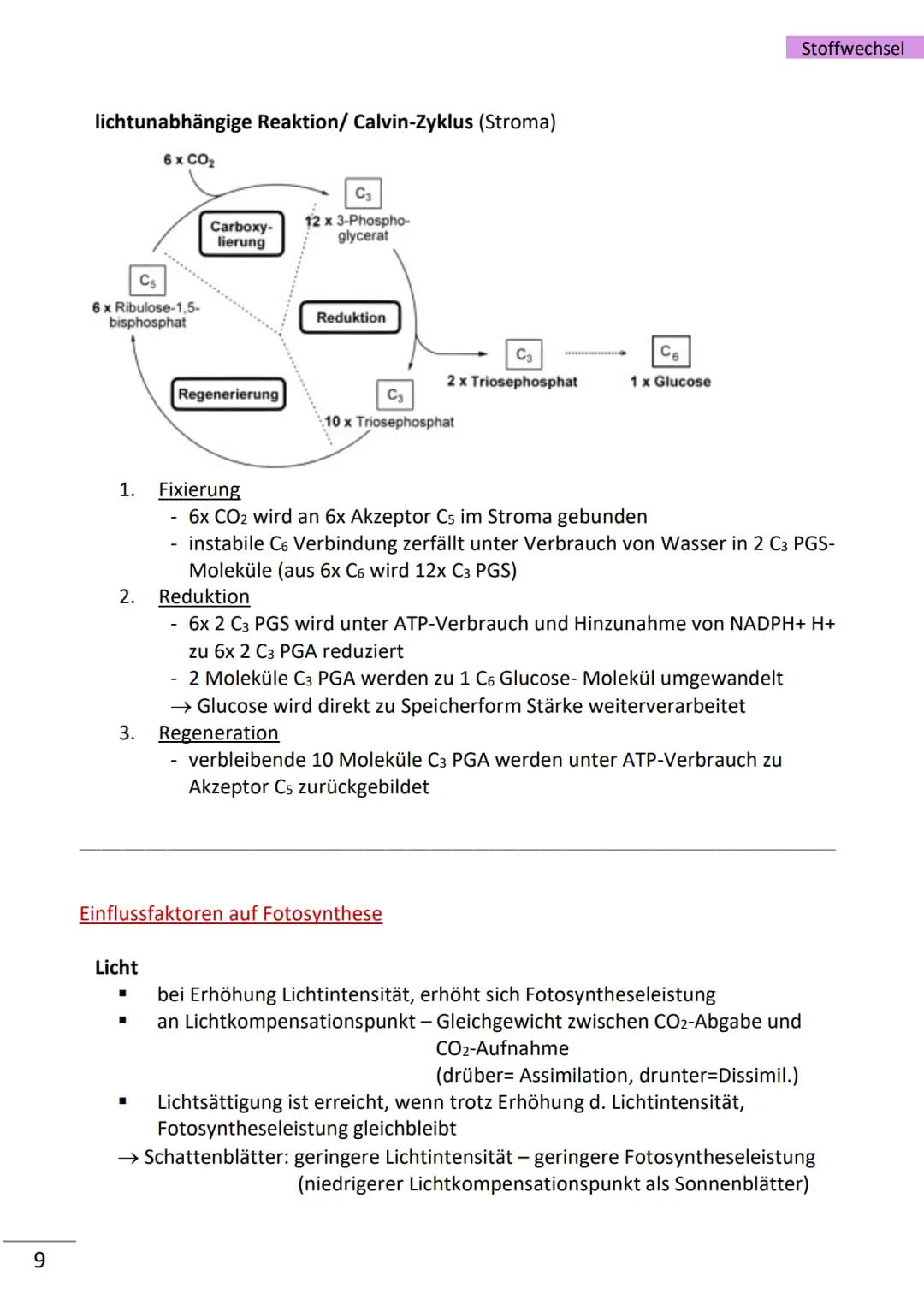 1
Enzyme
= hochmolekulare Proteine (aus Aminosäuren), die als Biokatalysatoren, durch
Herabsetzen der Aktivierungsenergie, Stoffwechselreakt