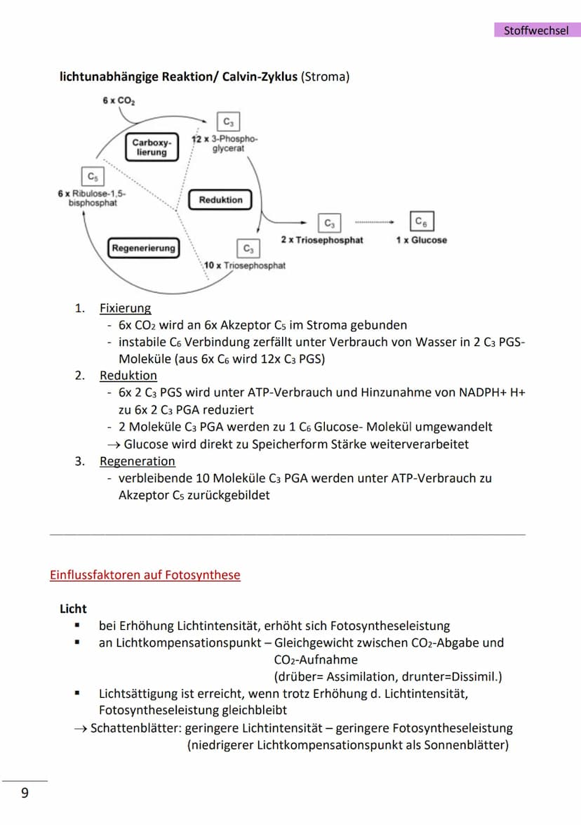1
Enzyme
= hochmolekulare Proteine (aus Aminosäuren), die als Biokatalysatoren, durch
Herabsetzen der Aktivierungsenergie, Stoffwechselreakt