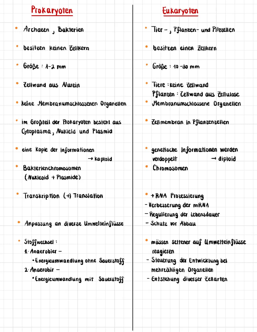 Prokaryoten und Eukaryoten im Vergleich