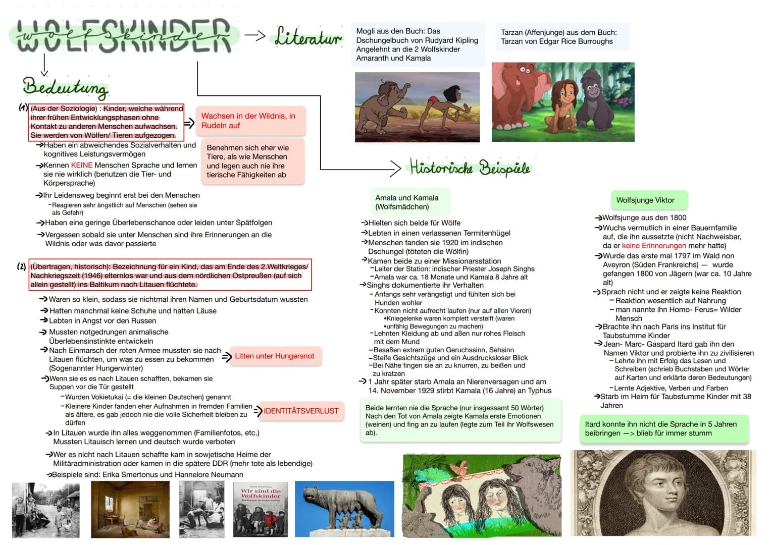 WOLFSKINDER →> Literatur
Bedeutung
(1) (Aus der Soziologie) : Kinder, welche während
ihrer frühen Entwicklungsphasen ohne
Kontakt zu anderen